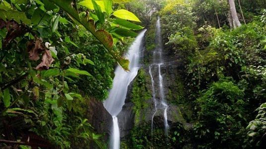 Habitación Doble Básica