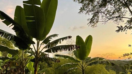 Habitación Doble Básica