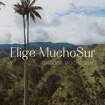 Elige MuchoSur