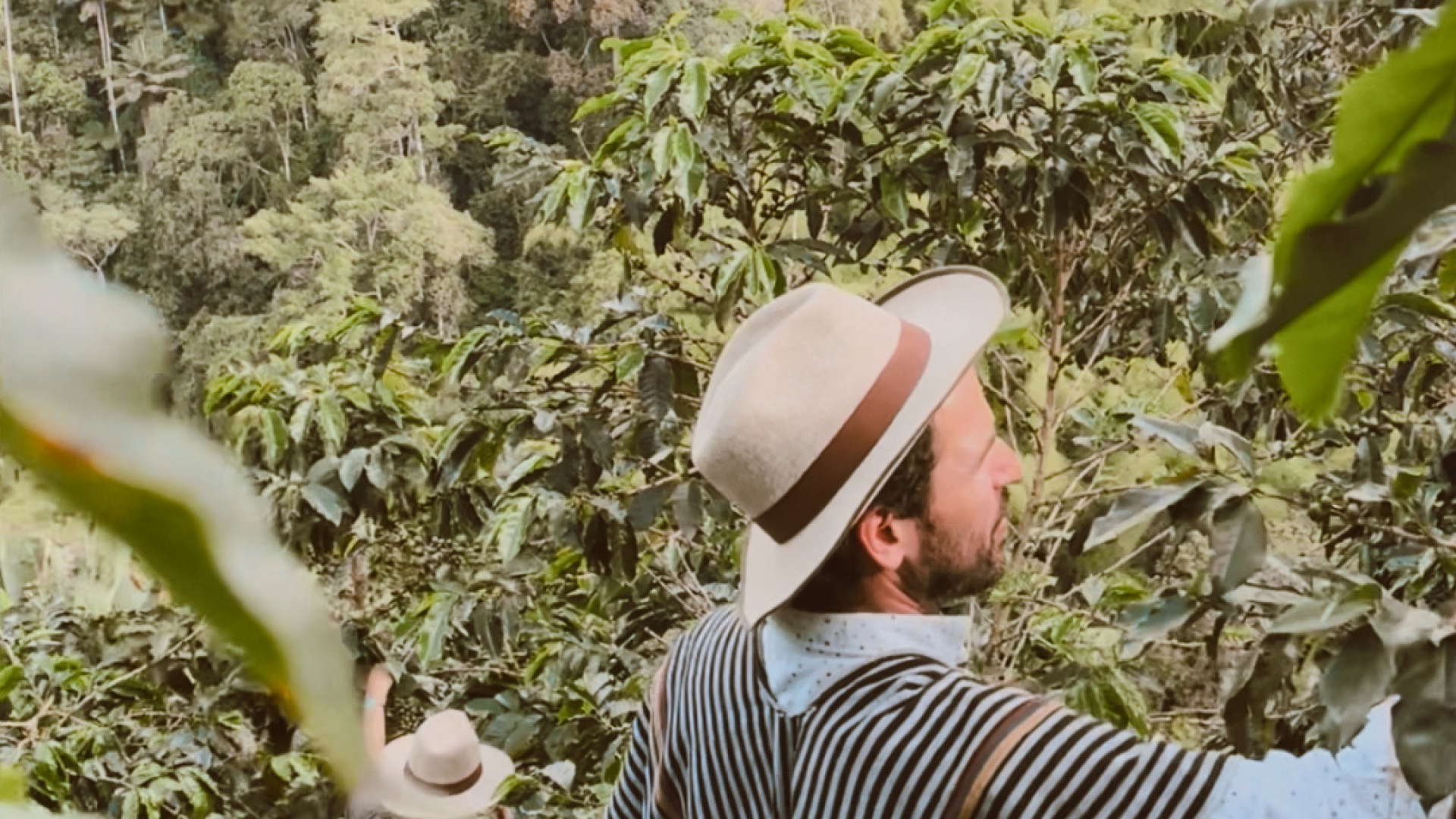 El café como forma de entender la vida