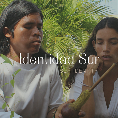 Identidad Sur