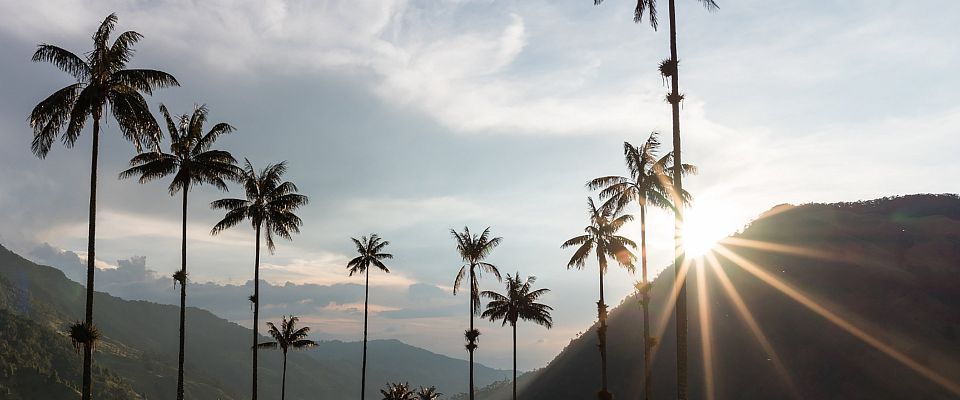 Paisaje Cultural Cafetero: Patrimonio de la Humanidad