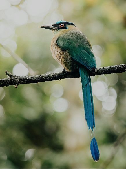Descubre la esencia del Sur...