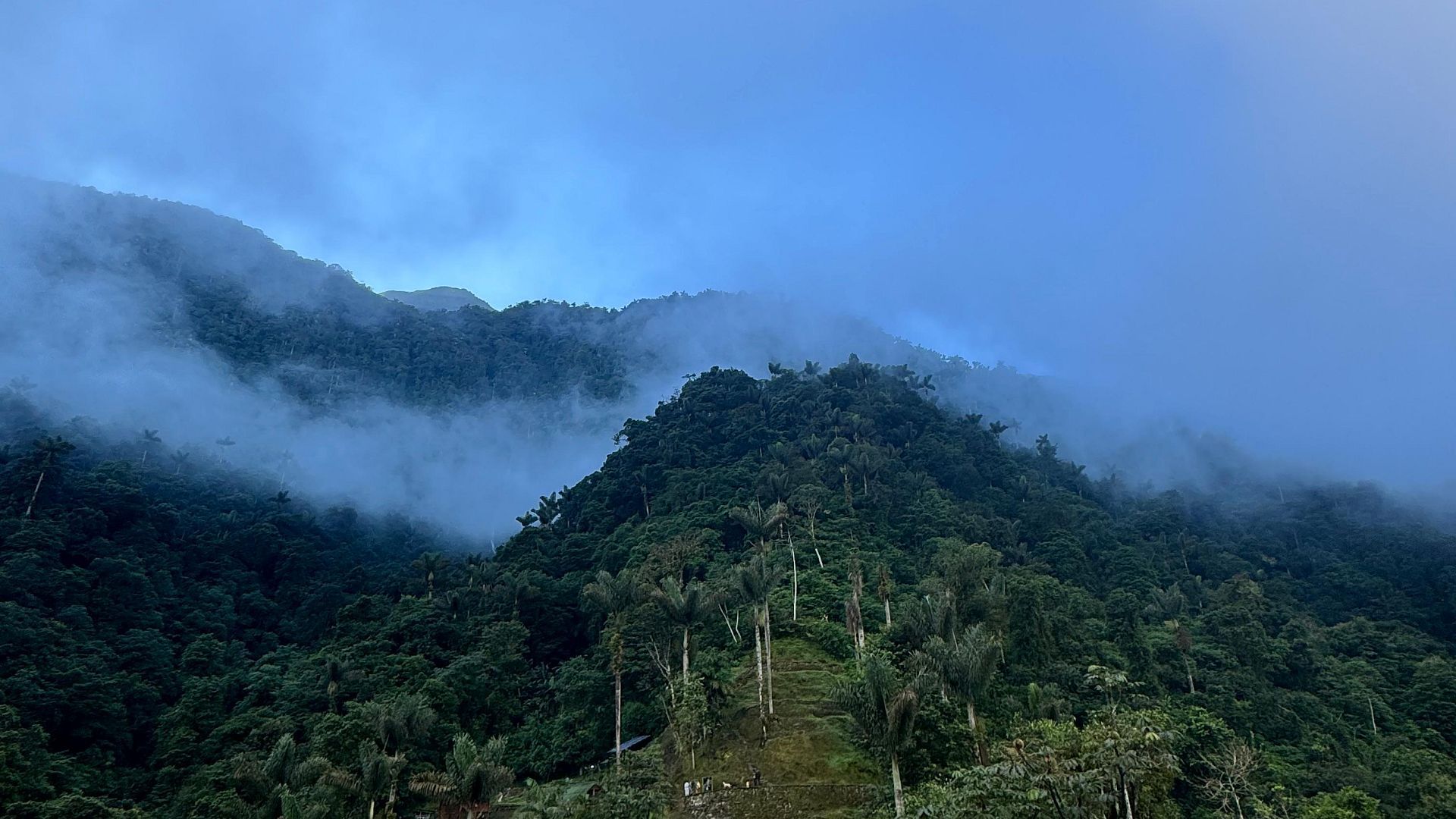 Bienestar que nace del movimiento de la naturaleza