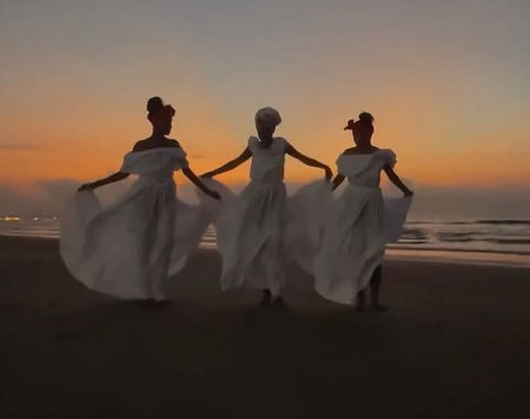 Volver a las raíces 