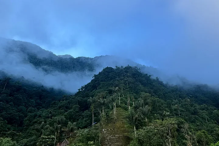 Bienestar que nace del movimiento de la naturaleza