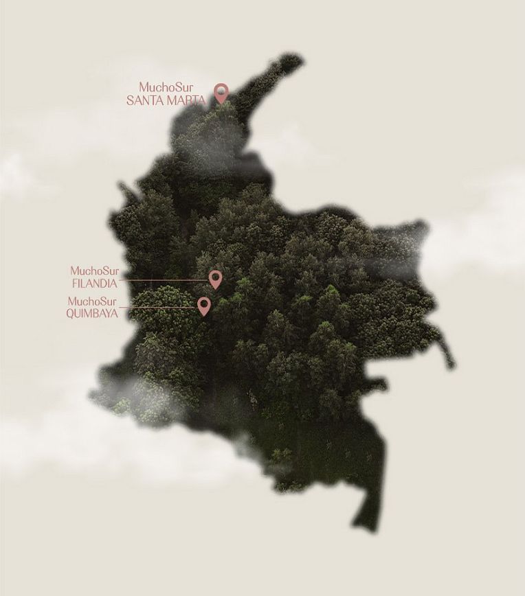 En MuchoSur nuestro norte es el Sur