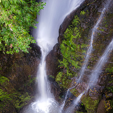 Descubre nuestros MuchoSur Lodges