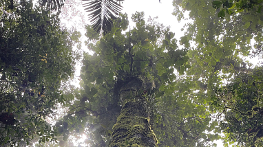 Barbas Bremen Experience