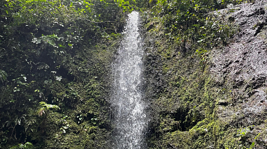 Barbas Bremen Experience