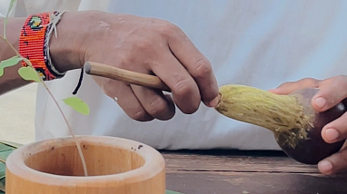 Hoja de Coca Experience