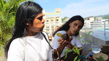Hoja de Coca Experience