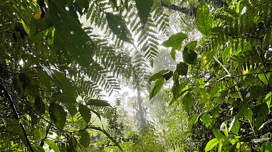 Barbas Bremen Experience