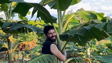 Plátano & Banano Experience