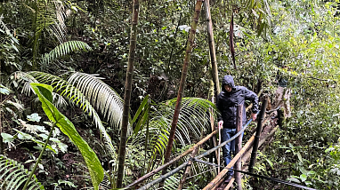 Barbas Bremen Experience