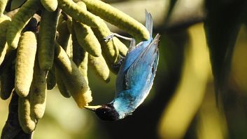 Galería de fotos MuchoSur Filandia