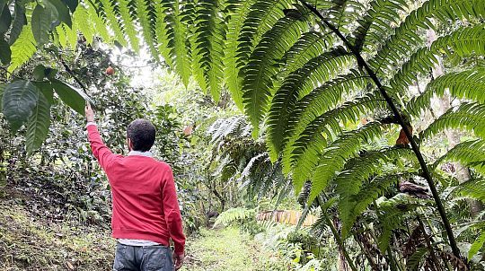 Jardines y senderos naturales