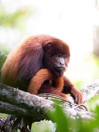 Un reencuentro con la biodiversidad