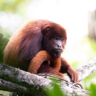 Un reencuentro con la biodiversidad