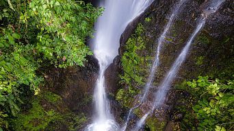 MuchoSur Quimbaya Hotel - Nature Lodge