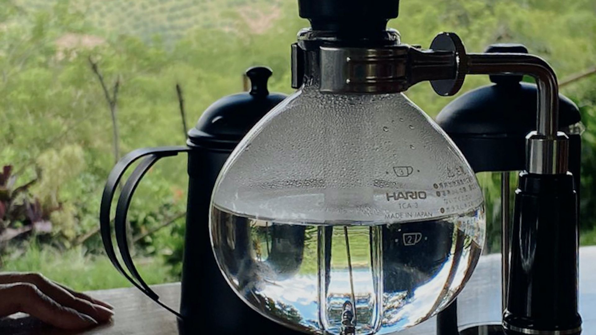 Finca Cafetera Experience