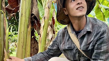 Plátano & Banano Experience