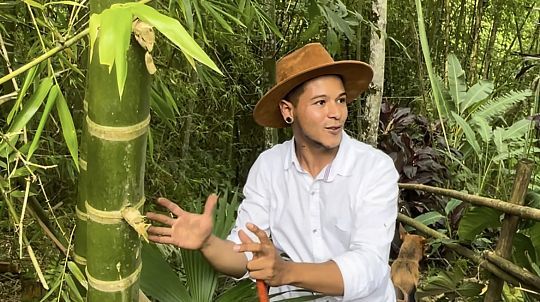 Senderos naturales y bosque de guadua