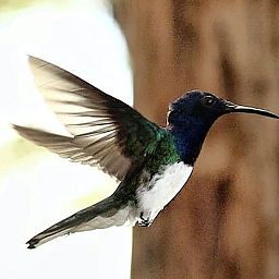 Momentos para reconectar