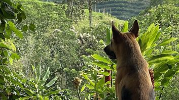 Galería de fotos MuchoSur Quimbaya