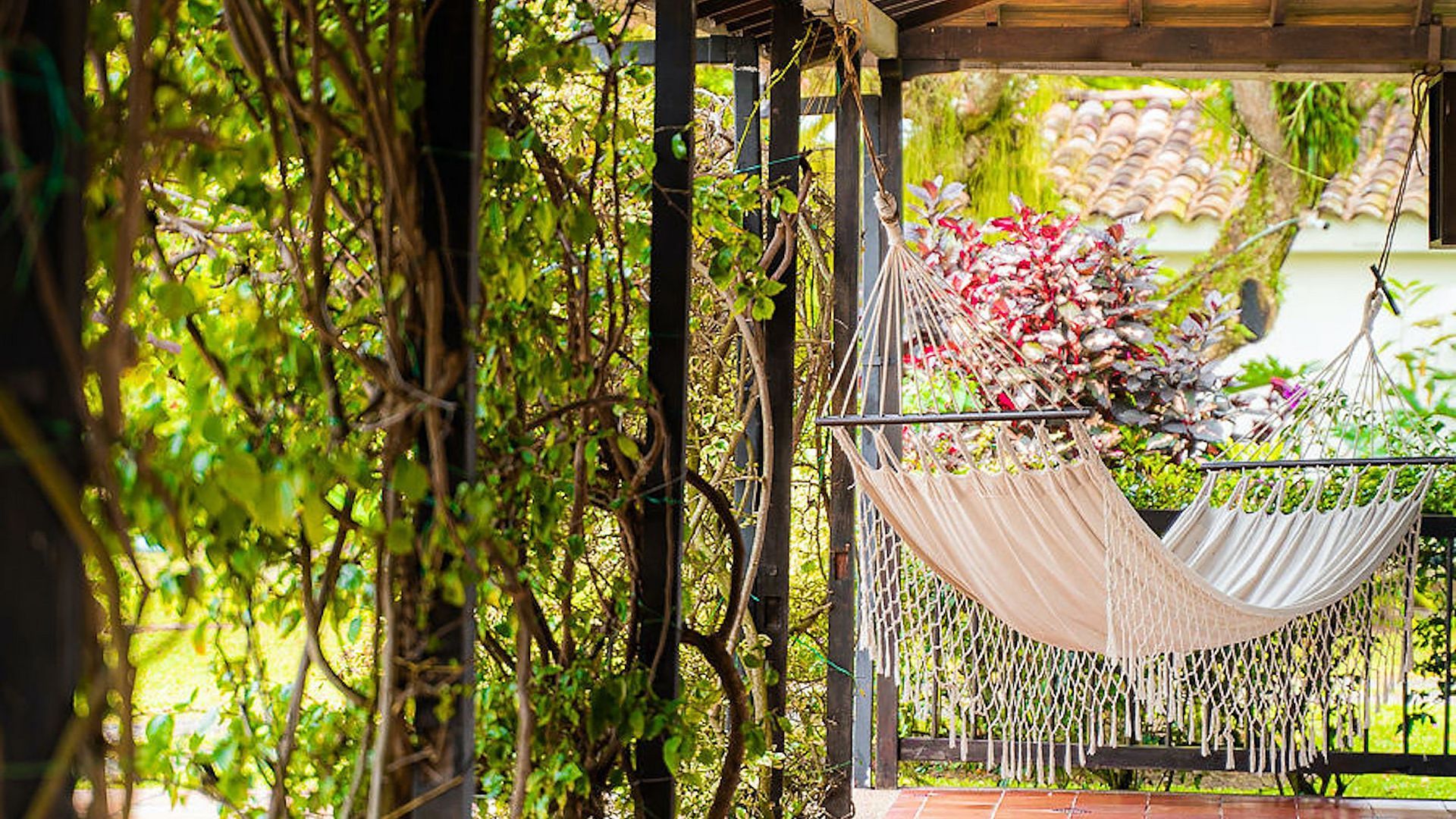 Todo lo que necesitas saber sobre MuchoSur