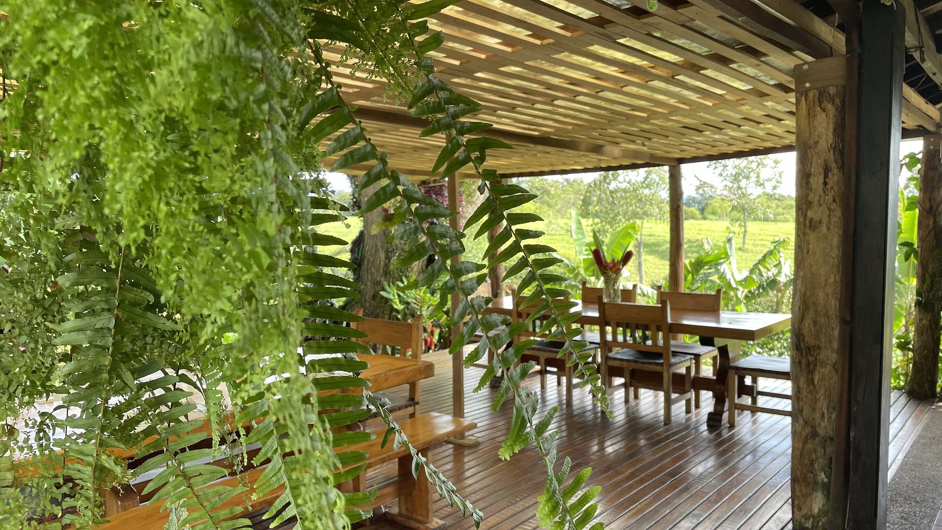 Historias del Sur en cada bocado