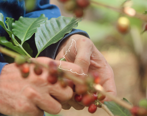 Conoce nuestra historia