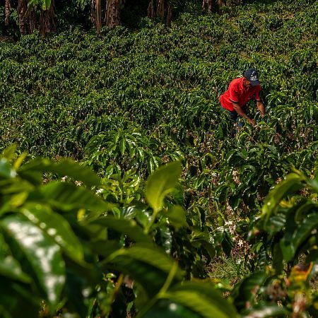 Montenegro y sus alrededores